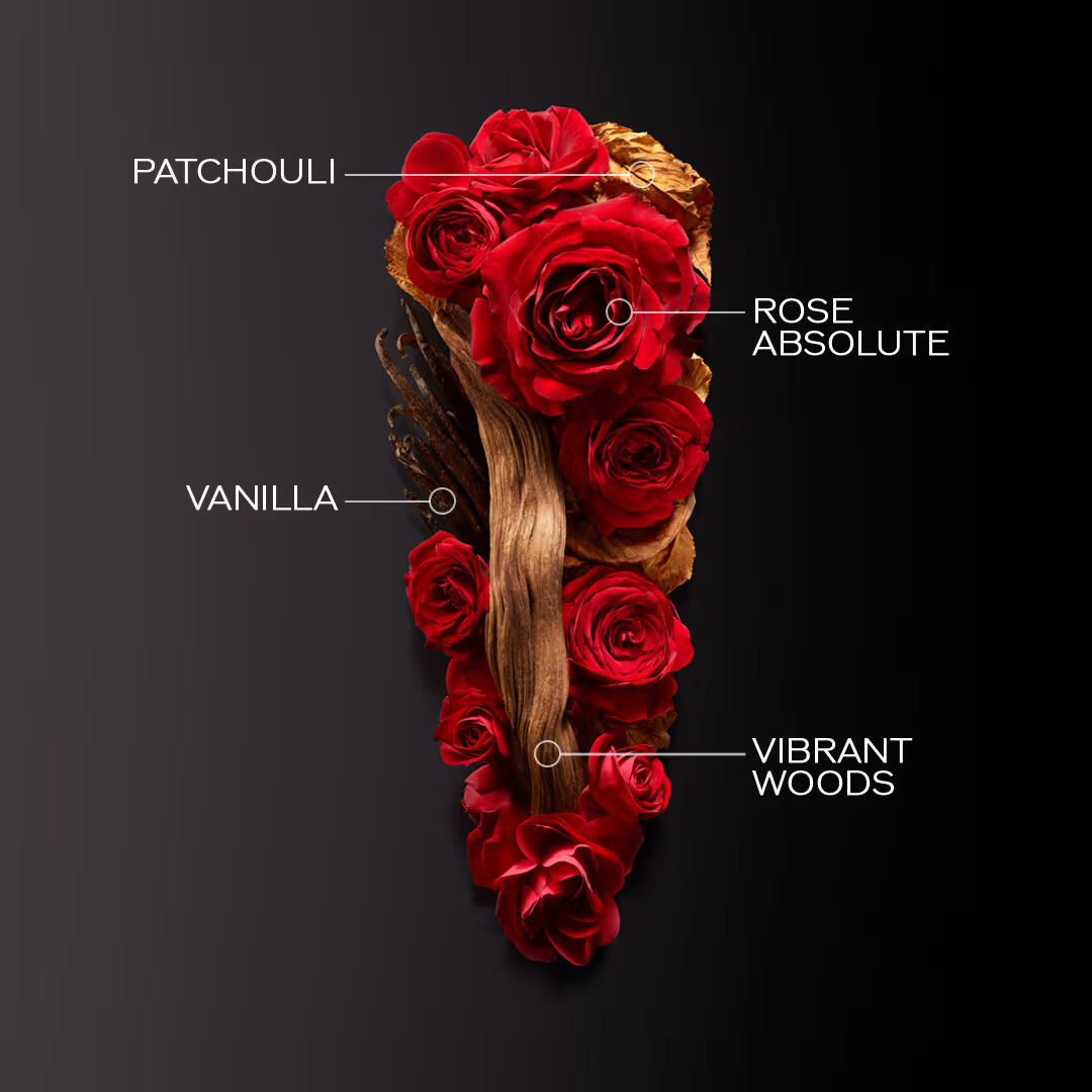 Eau de parfum 'Ginza Intense' - 30 ml