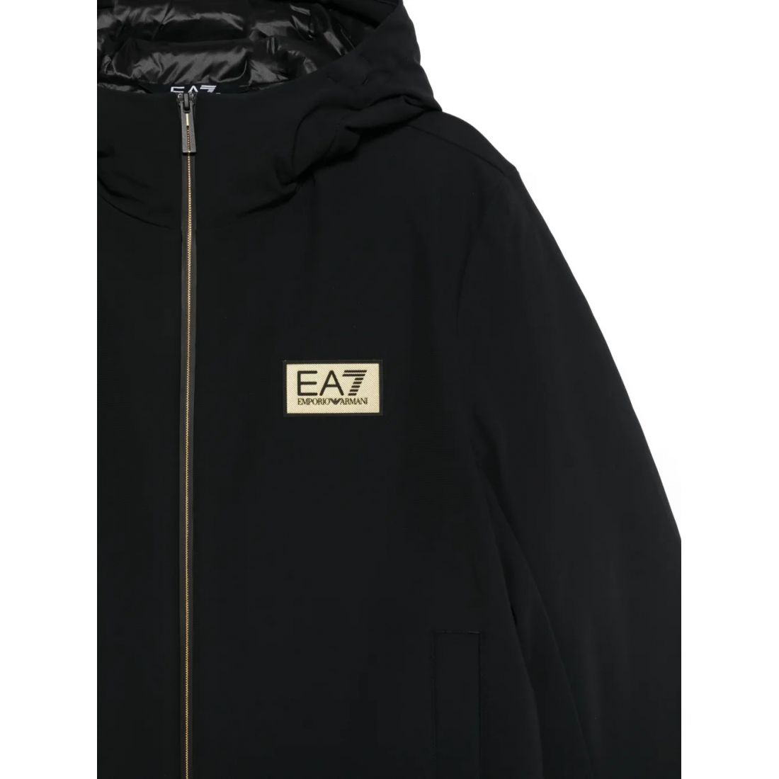 Veste 'Gold Label Hooded' pour Hommes