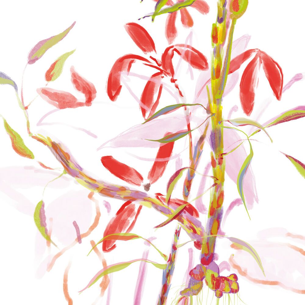 'L'Eau Rêvée D'Aria' Eau De Toilette - 50 ml