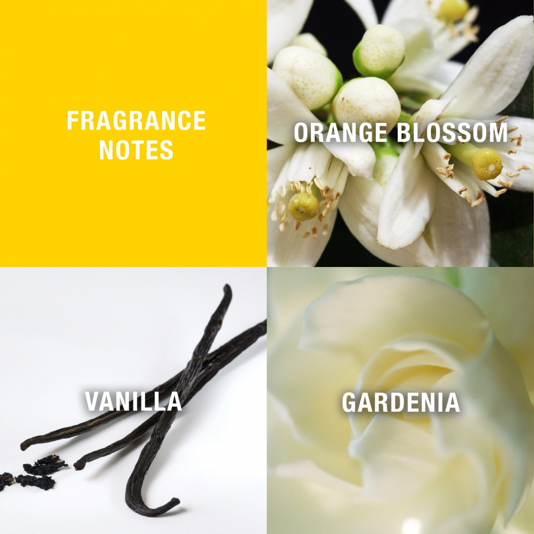 Coffret de parfum 'Giorgio' - 2 Pièces