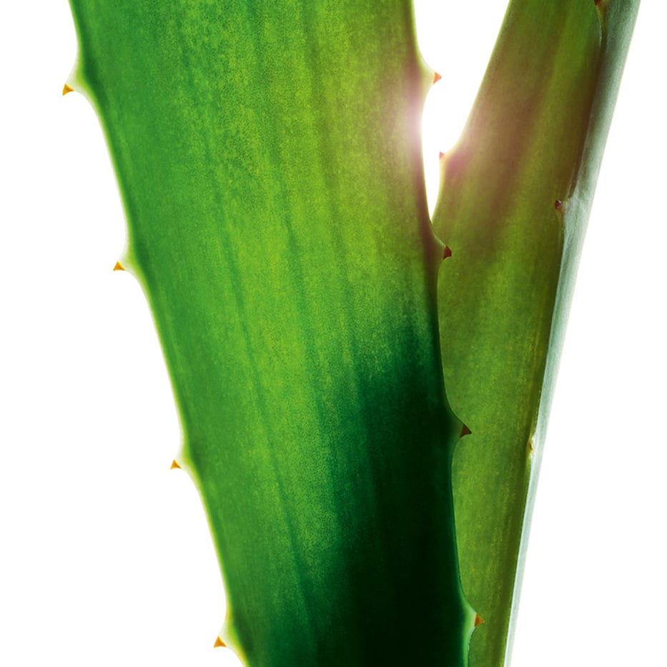 'Hydratante' Toning Lotion - 400 ml