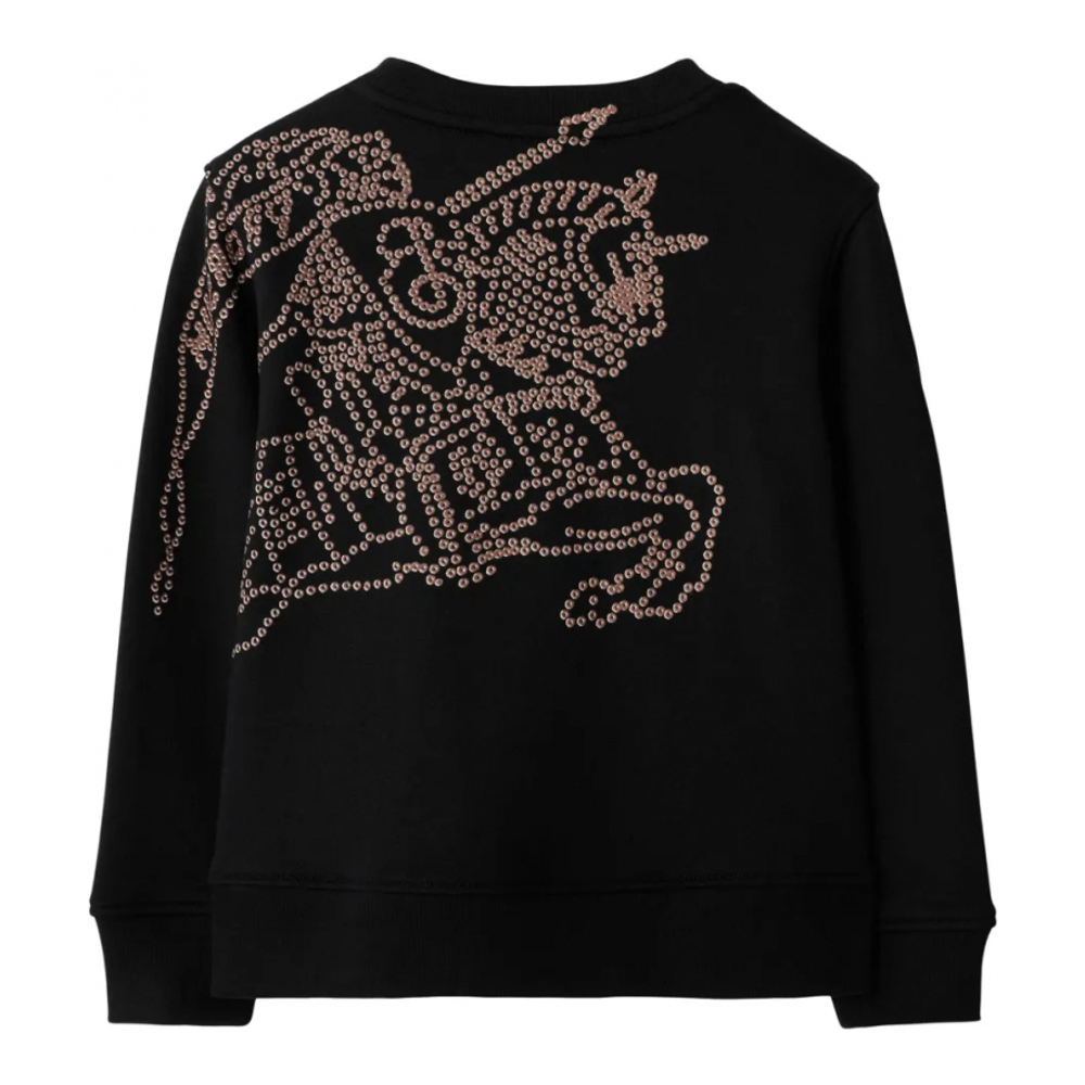 Sweatshirt 'EKD' pour Garçons