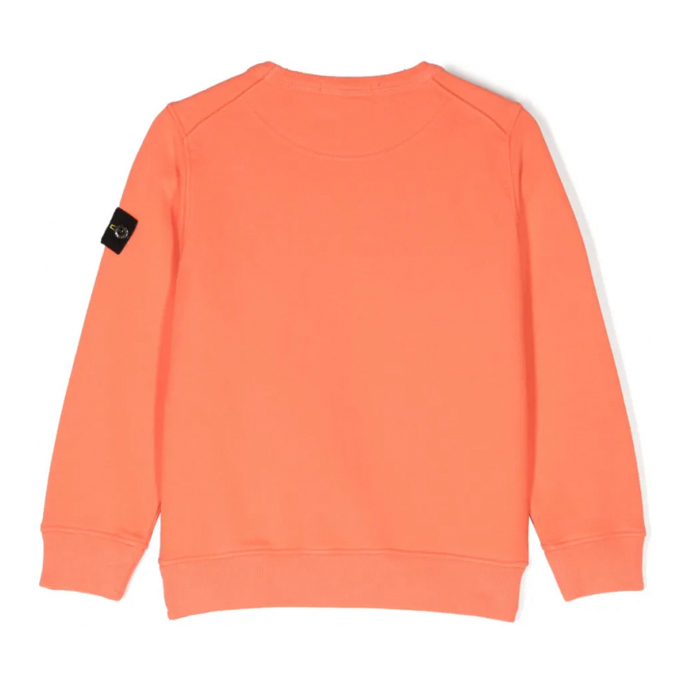 Sweatshirt 'Compass-Badge' pour Garçons