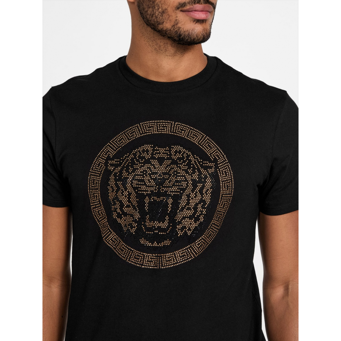 'Rava Tiger Tee' pour Hommes