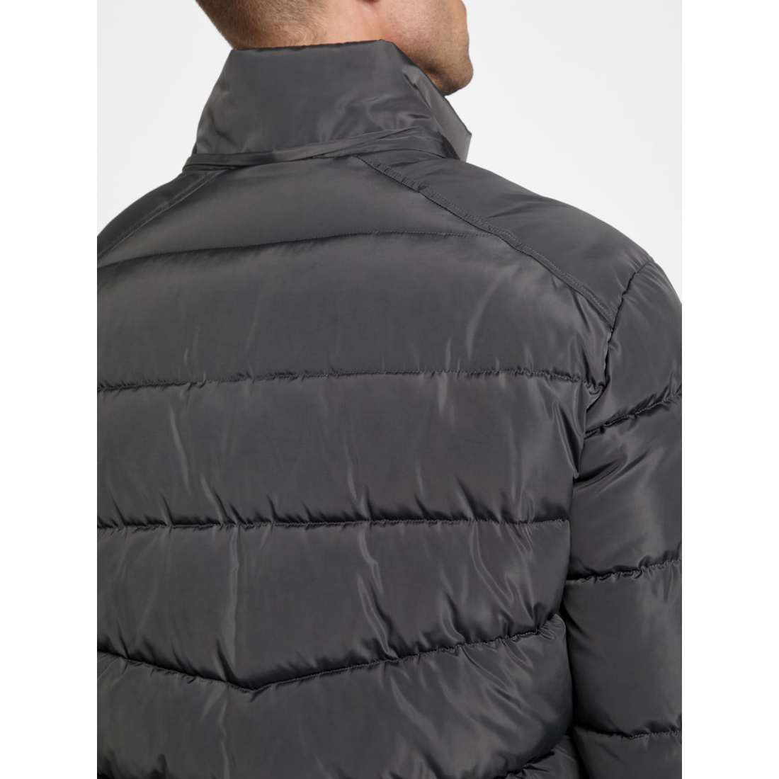 'Eco Pietros Padded Hooded Jacket' pour Hommes