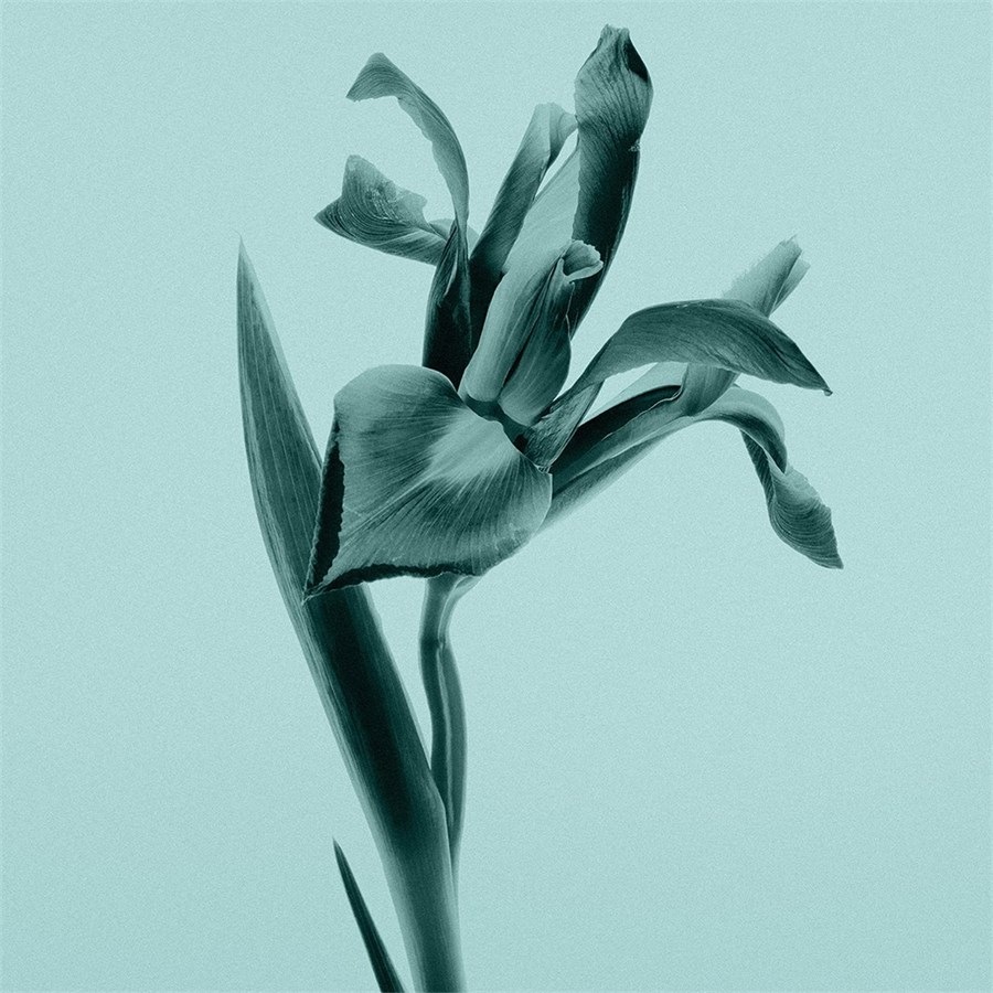 'Tiffany  Co.' Body Lotion - 200 ml