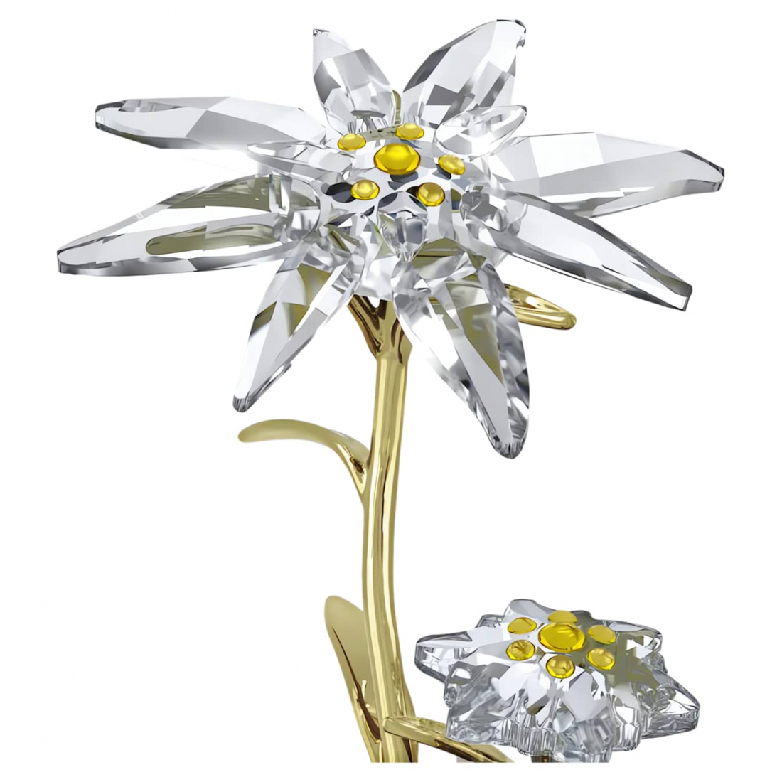 'Florere 130th Anniversary' Glocke für Damen