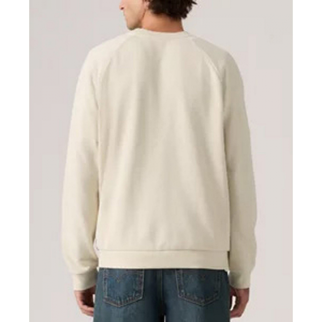 'Relaxed-Fit Crewneck Sweatshirt' pour Hommes