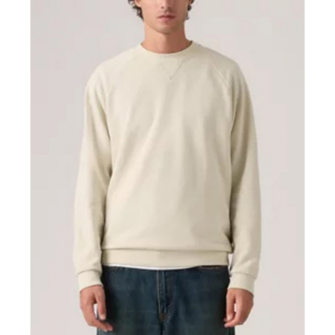 'Relaxed-Fit Crewneck Sweatshirt' pour Hommes