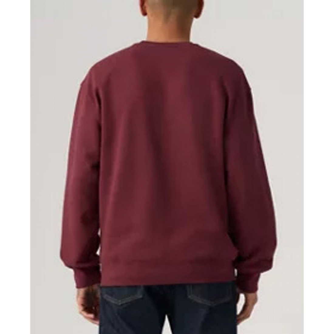 'Crewneck Long-Sleeve Sweatshirt' pour Hommes