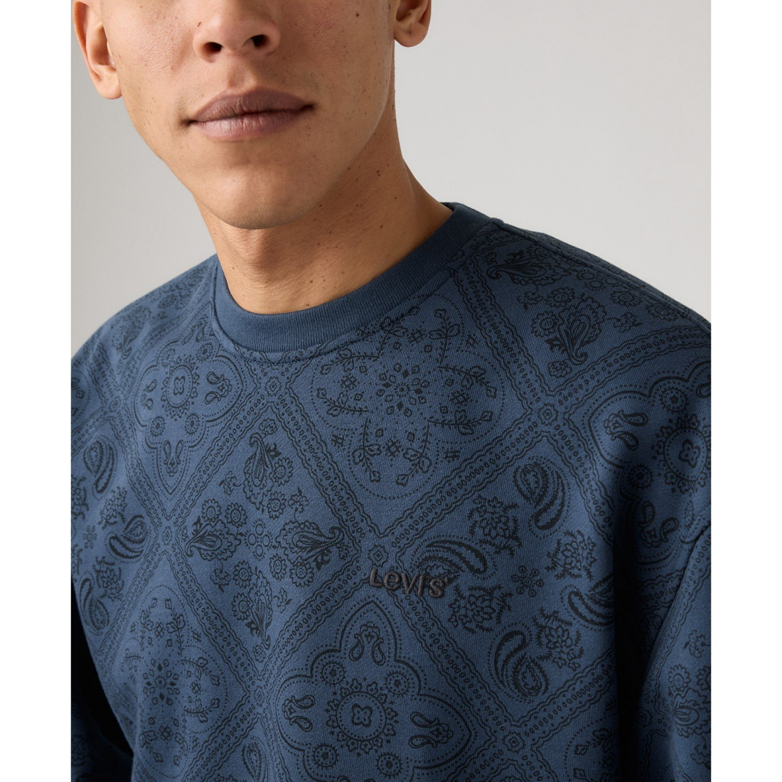 'Seasonal Crewneck Relaxed Fit Sweatshirt' pour Hommes