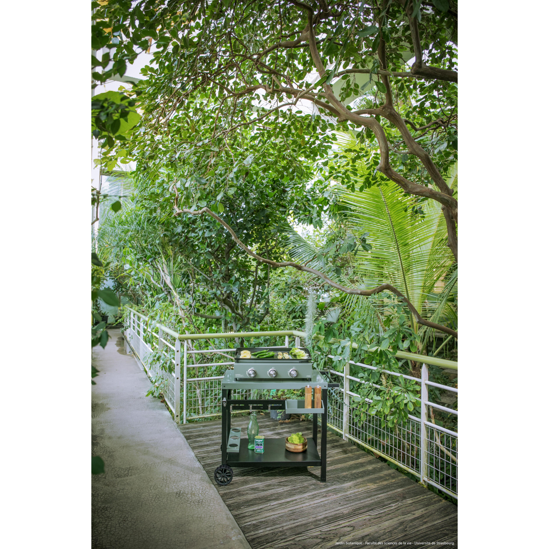 3-Burner Gas Griddle