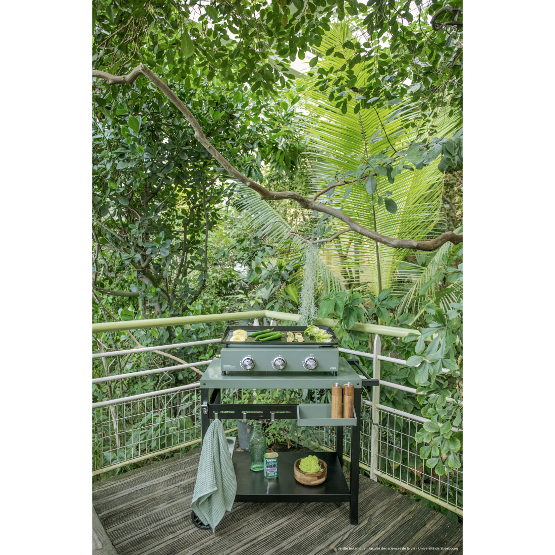 3-Burner Gas Griddle