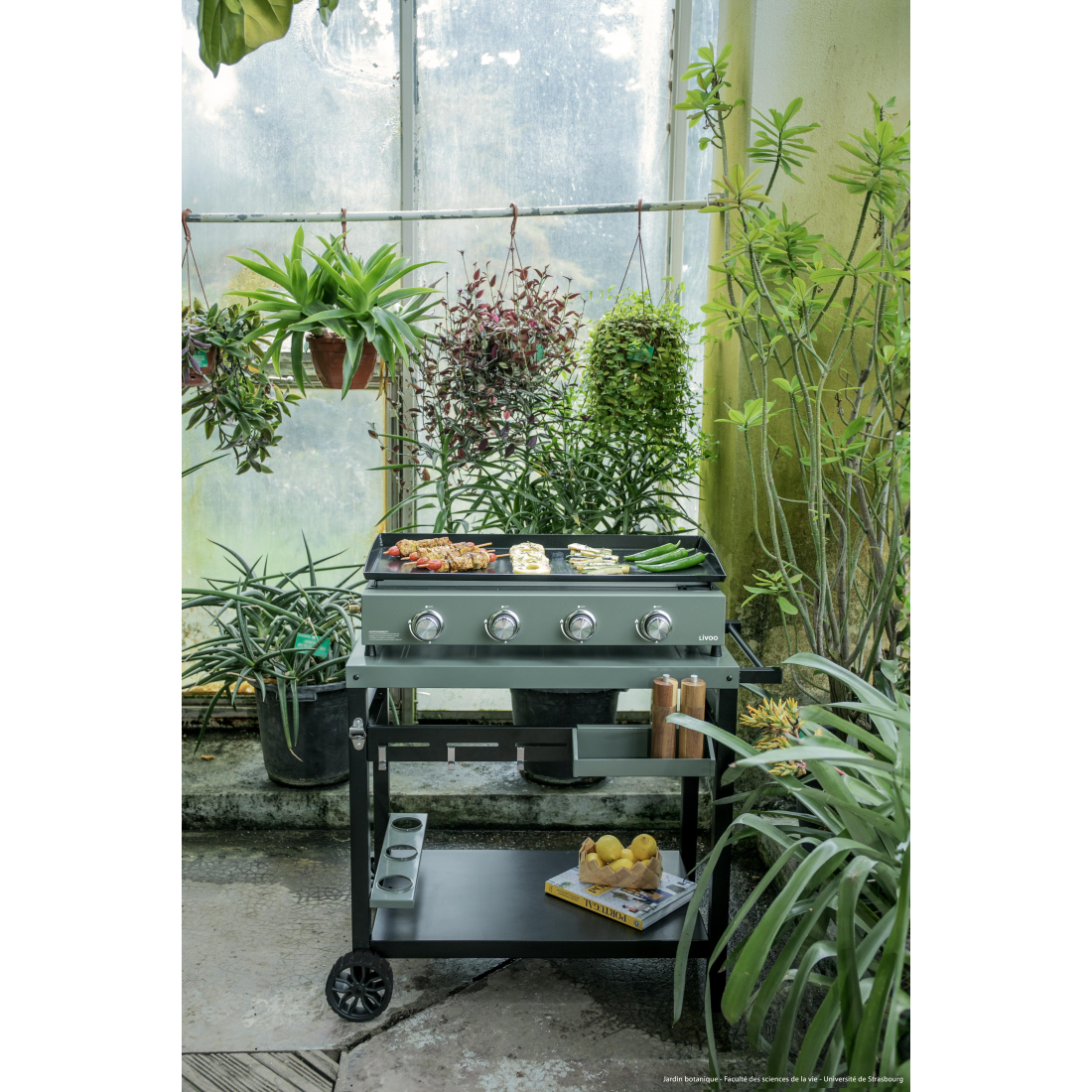 4-Burner Gas Griddle