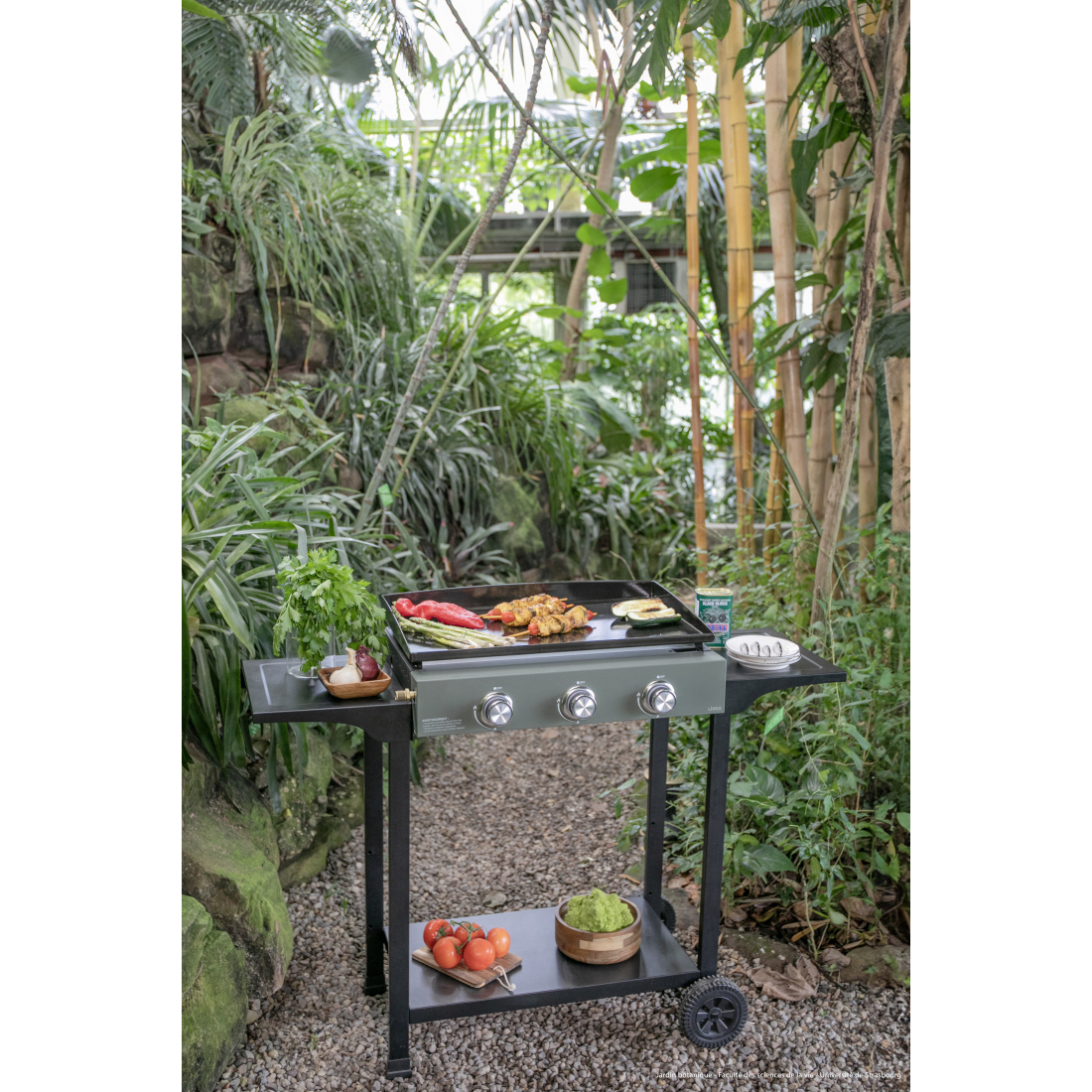 Plancha gaz 3 brûleurs sur chariot