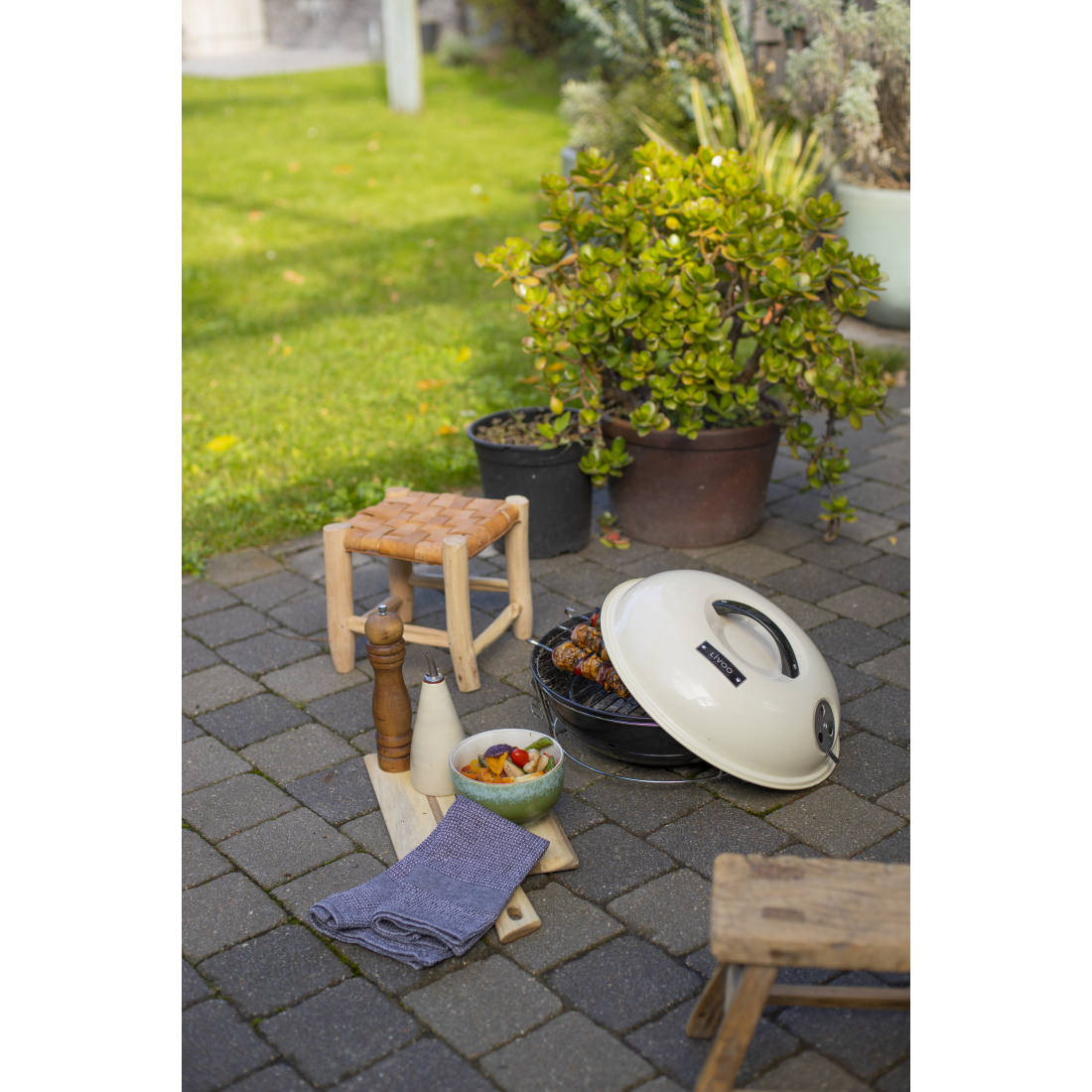 Portable Charcoal Barbecue