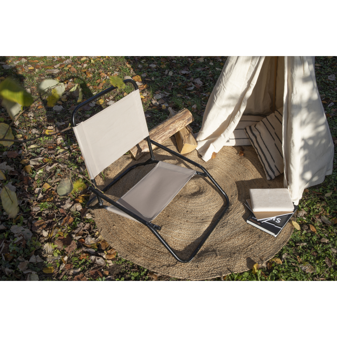 Folding Beach Chair