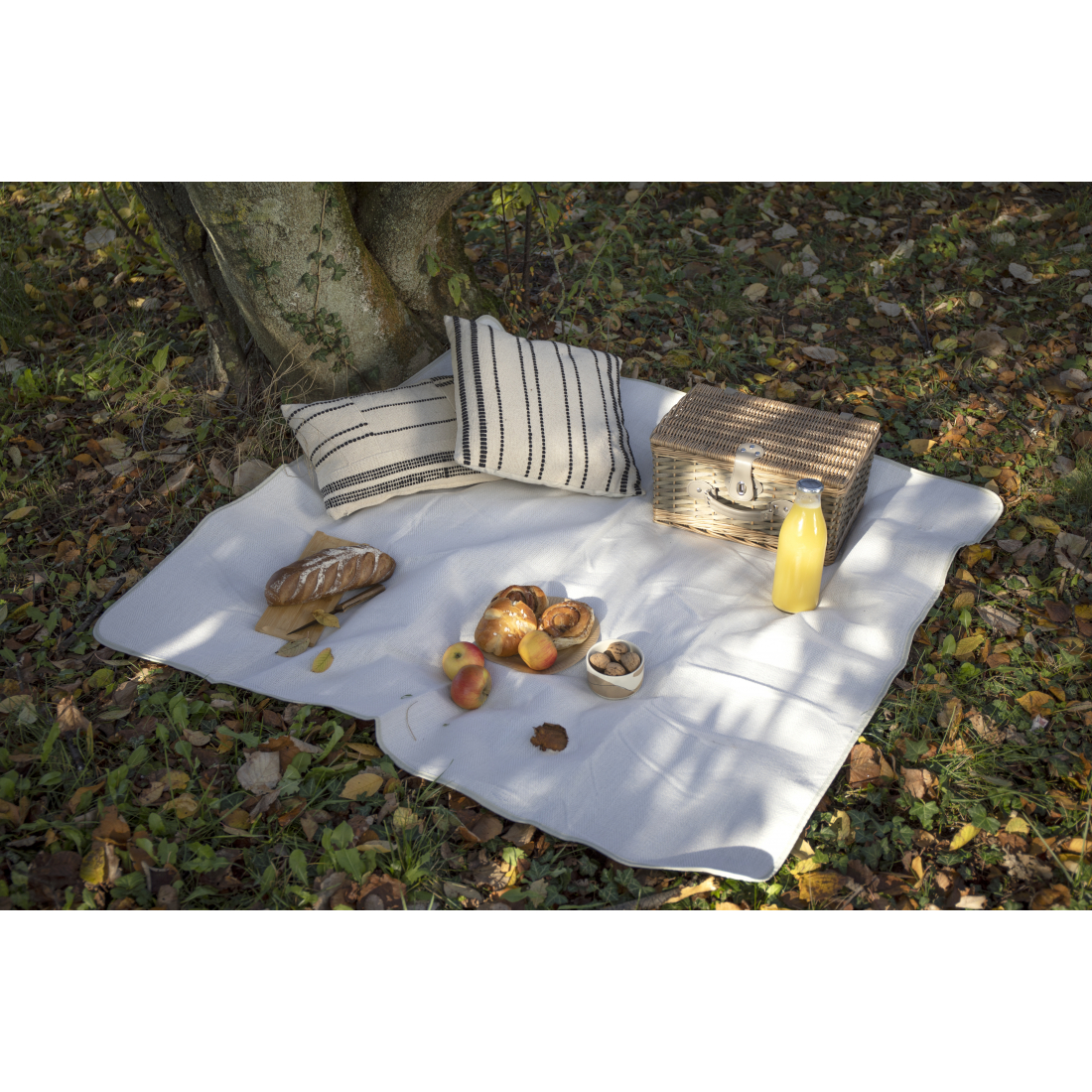 Picnic Blanket