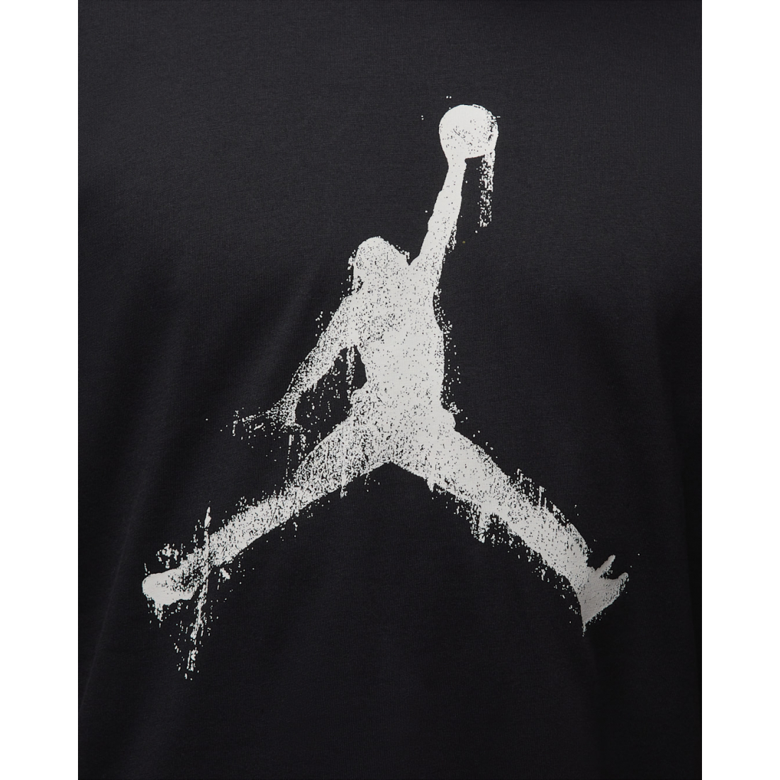 'Jordan Brooklyn' T-Shirt für Herren