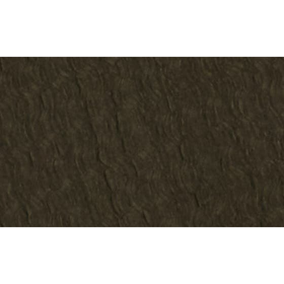 Top à manches longues 'Lace Slim Button Front' pour Femmes