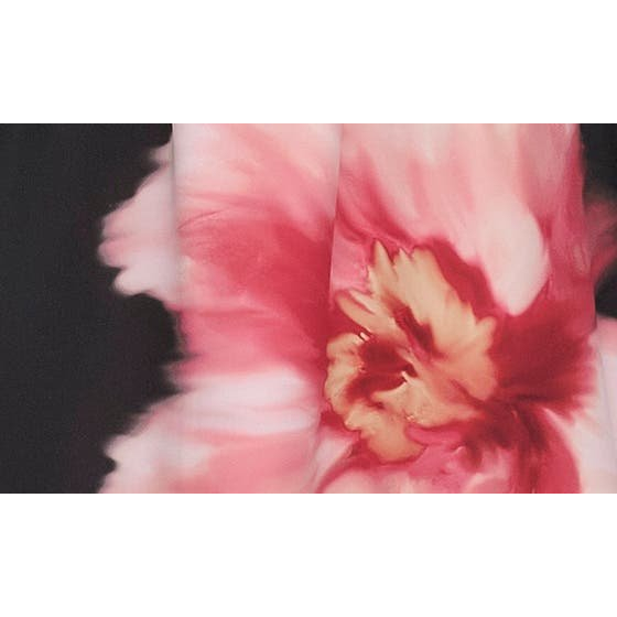 Robe Midi 'Floral Cap Sleeve Belted' pour Femmes