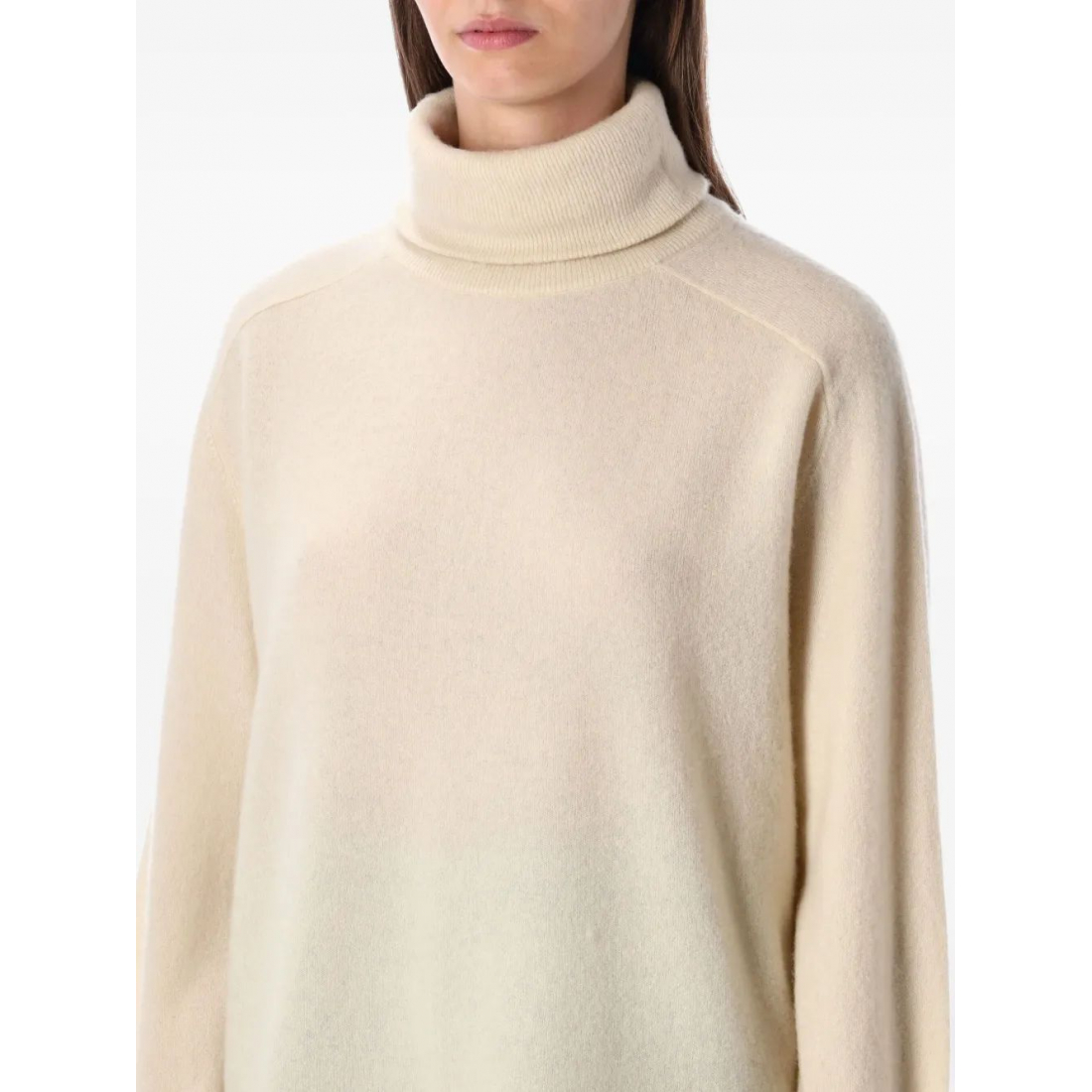Women's 'Raxow High-Neck' Sweater