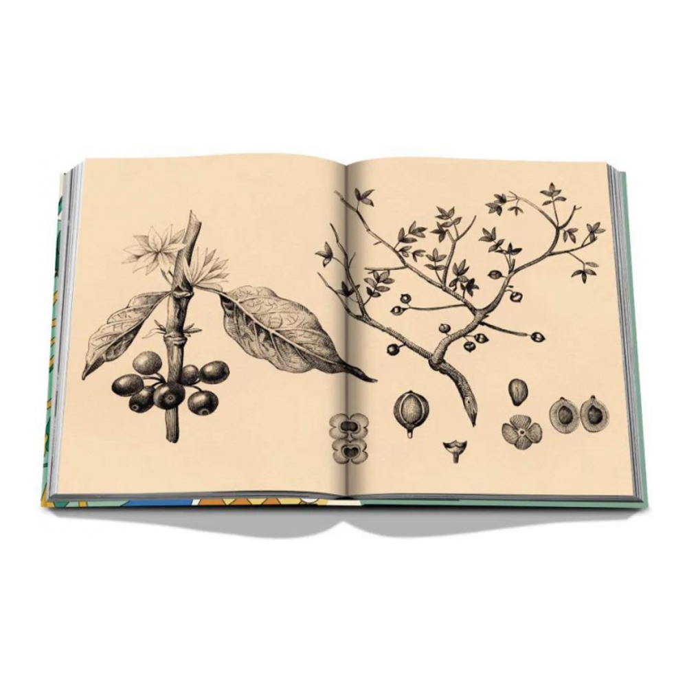 'Saudi Coffee: The Culture of Hospitality' Book