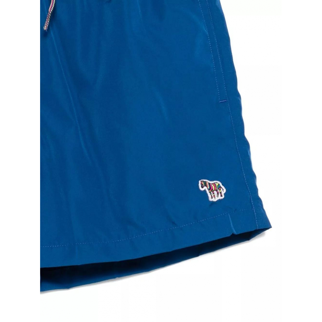 Men's 'Zebra Logo' Swimming Shorts