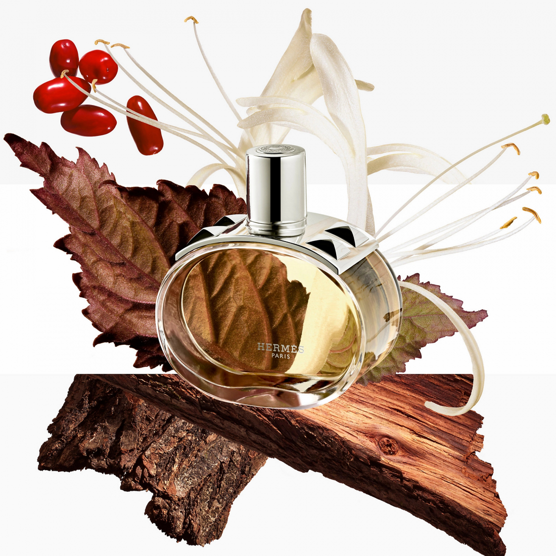 'Barenia' Eau de Parfum - Wiederauffüllbar - 60 ml