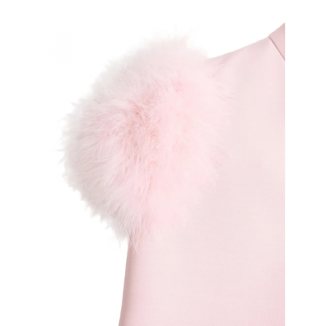 Women's 'Feathers-Detail' Mini Dress