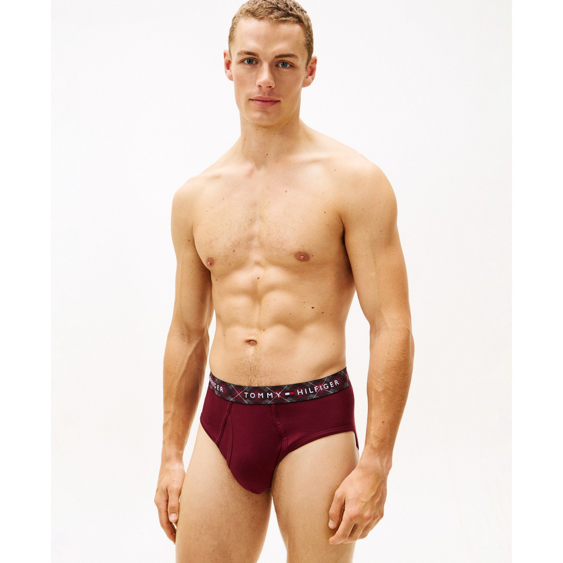 '4-Pack Cotton Classics Briefs Set' pour Hommes