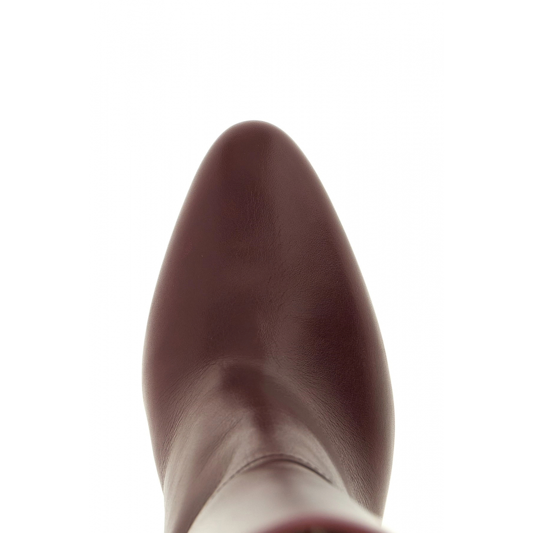 Bottes à talons hauts 'Lavinia' pour Femmes