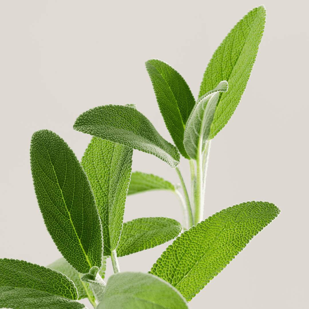 'Essentiel Biome-Friendly Rebalancing' Conditioner - 150 ml