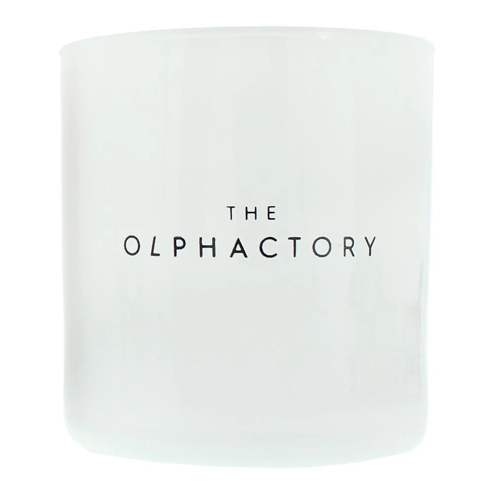 'Mystique Boughs' Duftende Kerze - 310 g