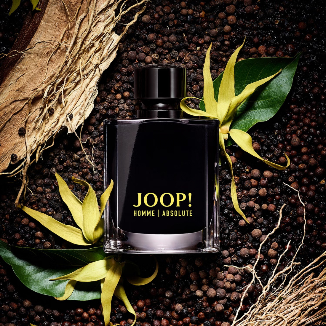 'Joop! Absolute' Eau De Parfum - 120 ml