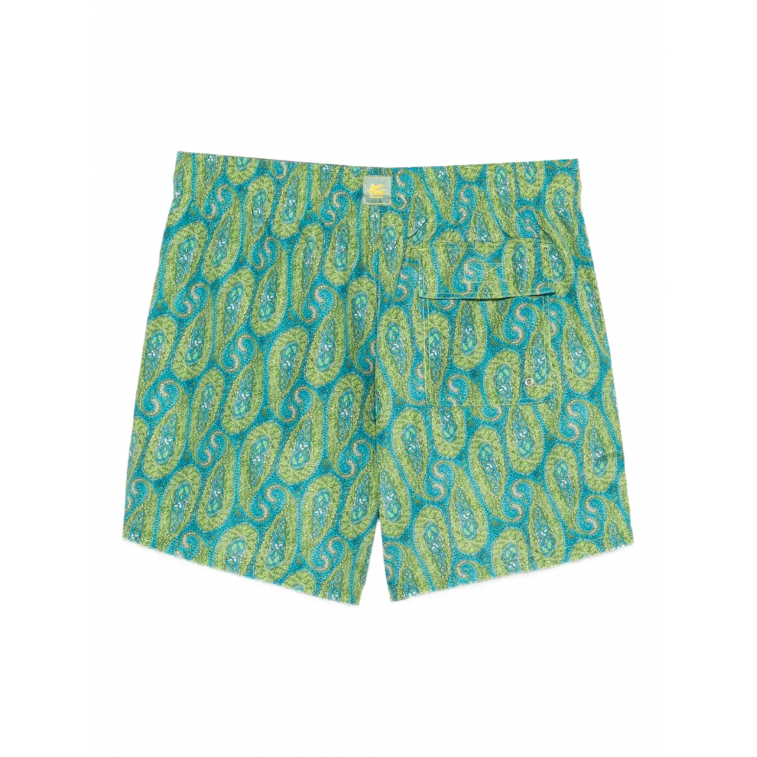 Men's 'Paisley' Swimming Shorts