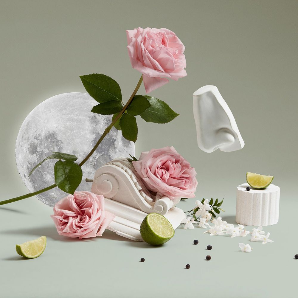 Nettoyant pour les mains & le corps 'Luna' - 500 ml