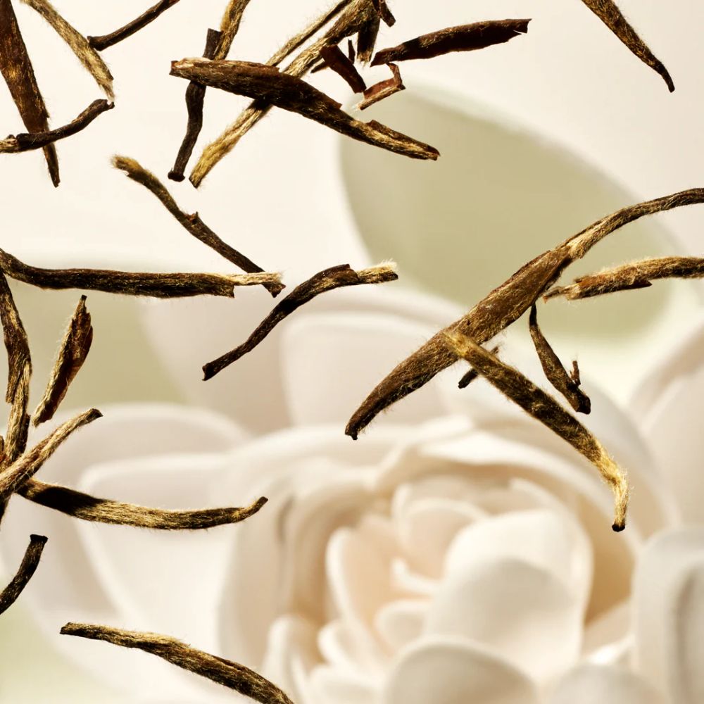 Gel Moussant 'The Ritual of Karma' - 50 ml