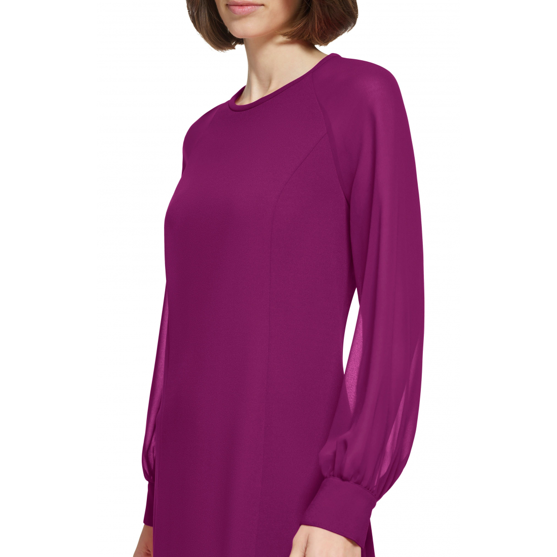 Women's 'Sheer Long Sleeve' A-line Dress
