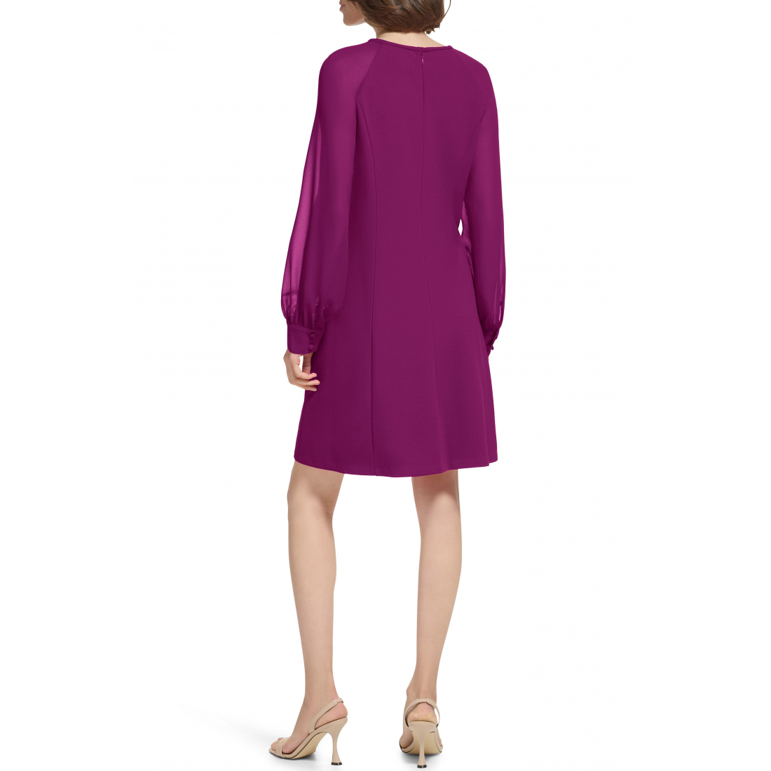 Women's 'Sheer Long Sleeve' A-line Dress