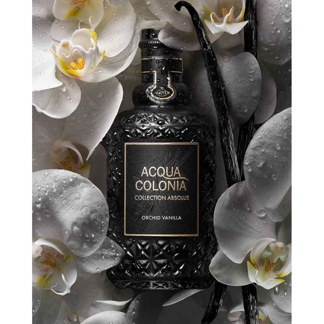 'Acqua Colonia Absolue Orchid Vanilla' Eau De Parfum - 100 ml