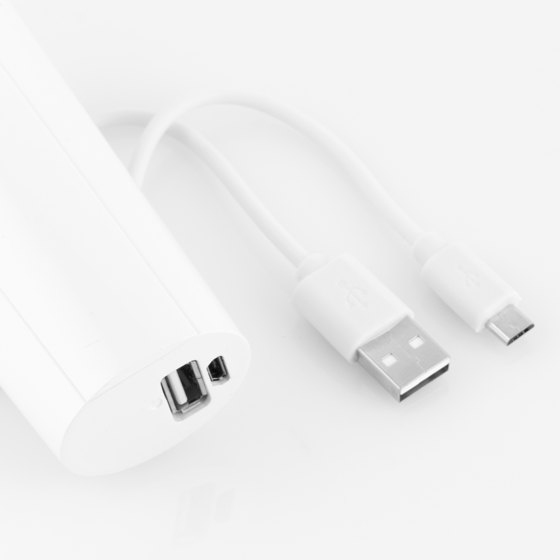 'Two in One' Facial Steamer, Power Bank