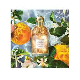 Eau de toilette 'Aqua Allegoria Orange Soleia' - 75 ml