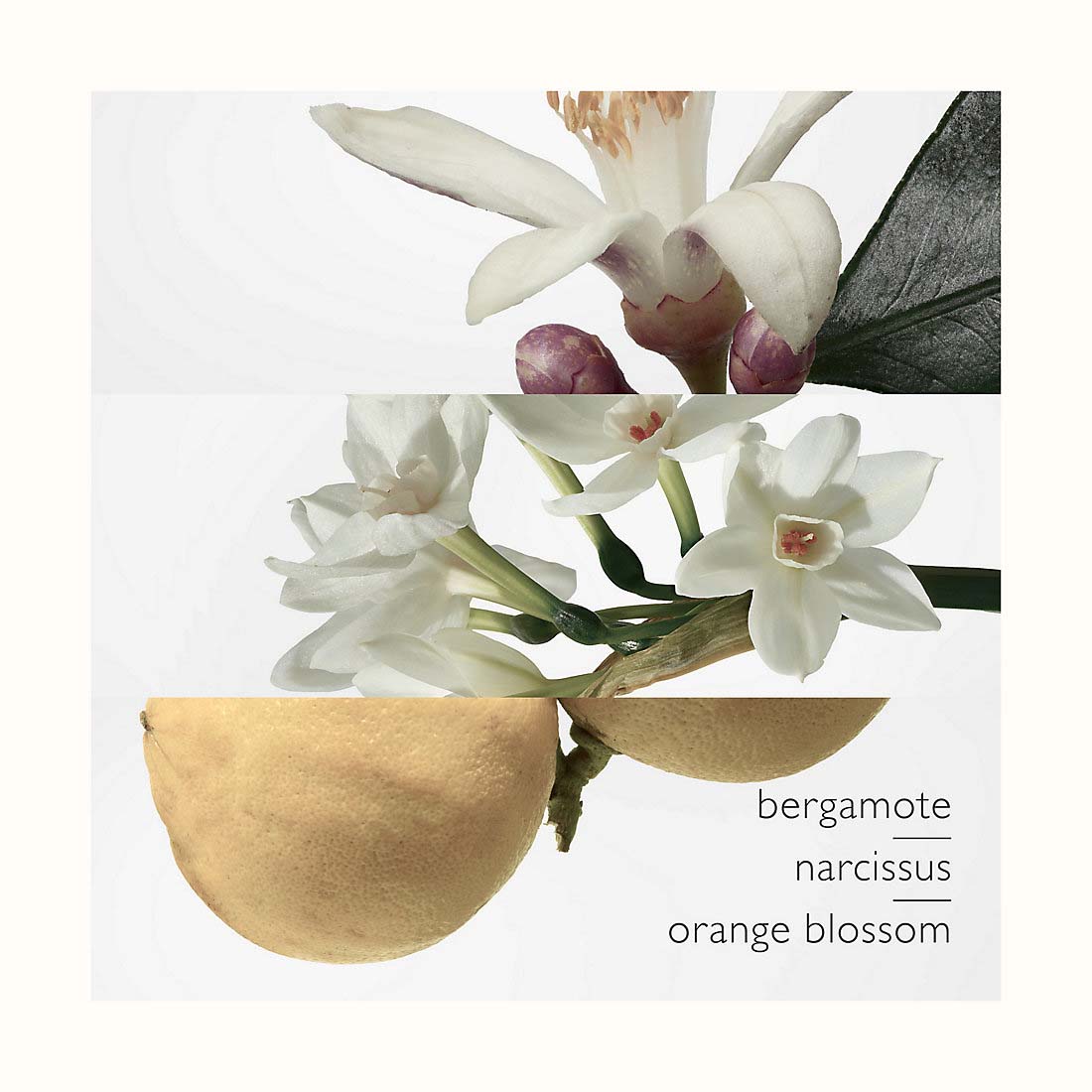 Eau de Cologne 'Eau de Narcisse Bleu' - 200 ml