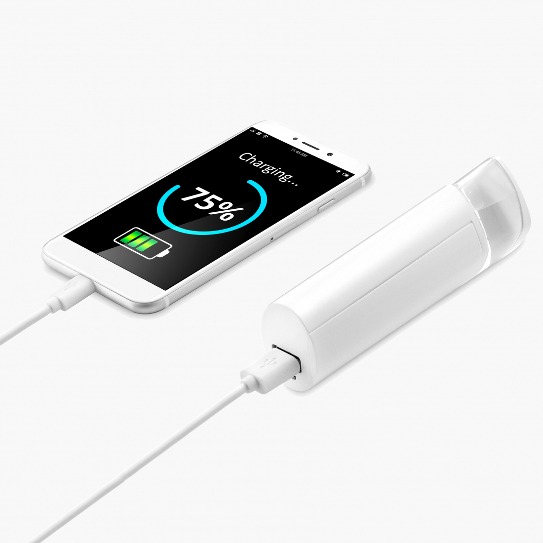 'Two in One' Facial Steamer, Power Bank