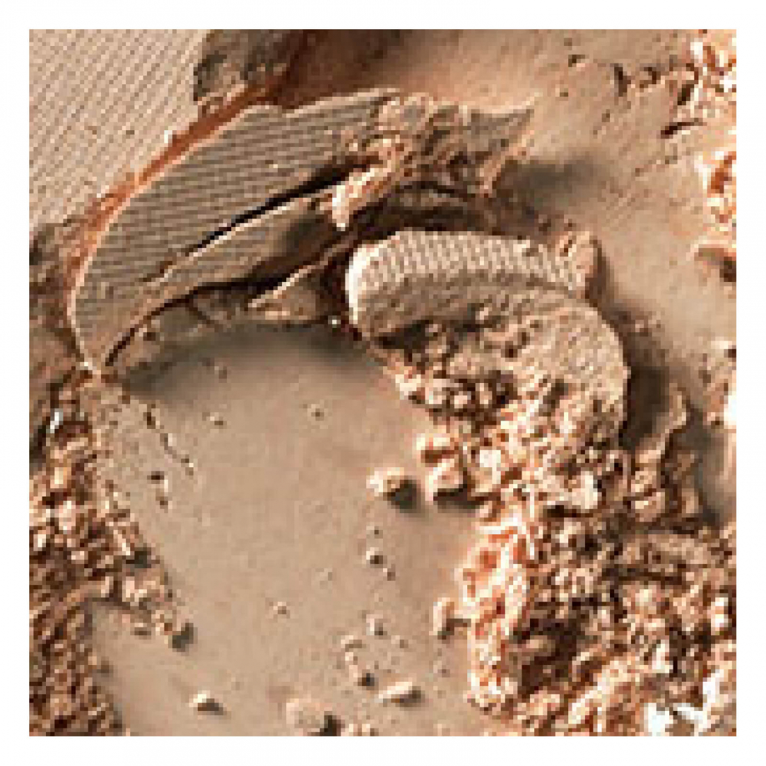 Poudre de tache pressée - Medium Dark 12 g