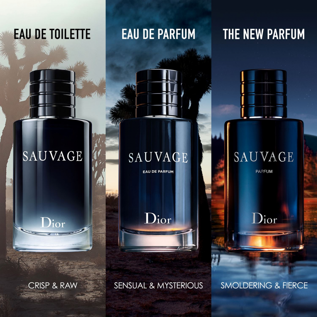 Eau de parfum 'Sauvage' - 100 ml