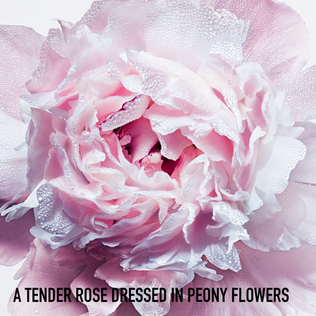 Eau de toilette 'Miss Dior Blooming Bouquet' - 100 ml