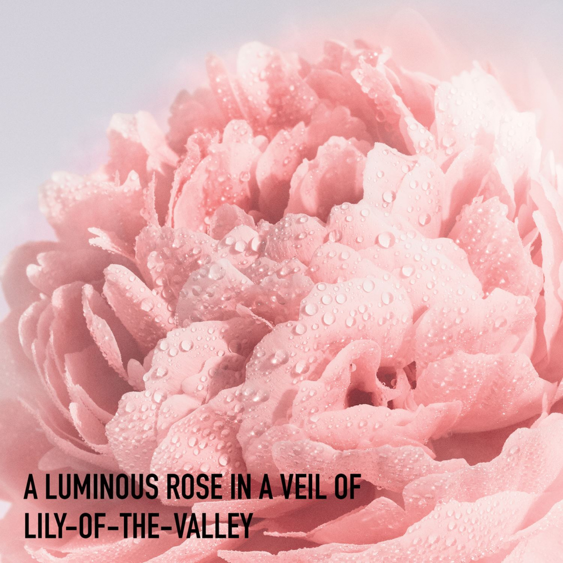 'Miss Dior' Perfumed Deodorant - 100 ml