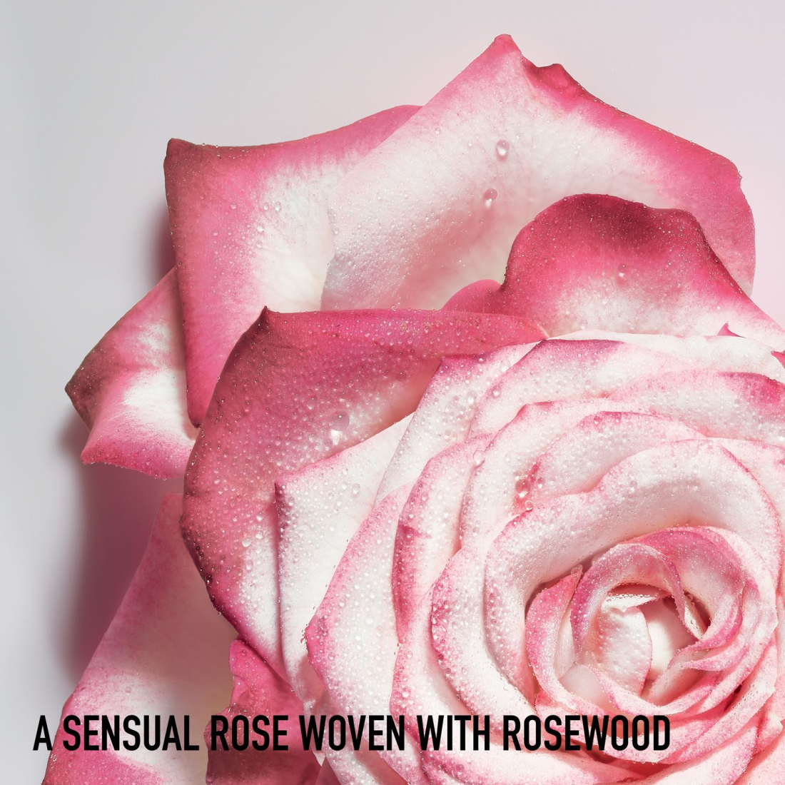 'Miss Dior' Eau de parfum - 50 ml